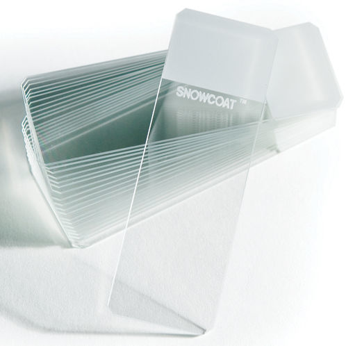 12 Vetrini Per Microscopio Per Bambini - Campioni Di Animali, Insetti, Piante E Fiori, In Plastica, 4 Colori - Foto 7