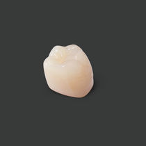 Protesi dentale in PMMA / per denti anteriori...