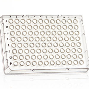 micropiastra per PCR 1