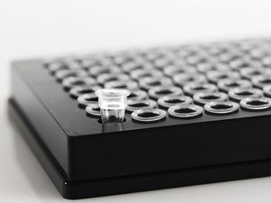 micropiastra per PCR 1