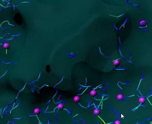 software per microscopi digitali