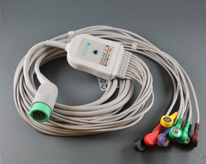 cavo ECG