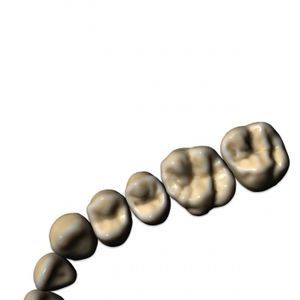 modulo software CAD