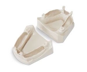 modello anatomico mandibolare 1