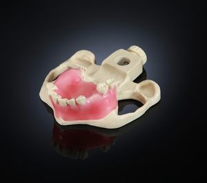modello anatomico di sierosa 1