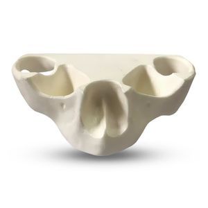 modello anatomico di sierosa 1