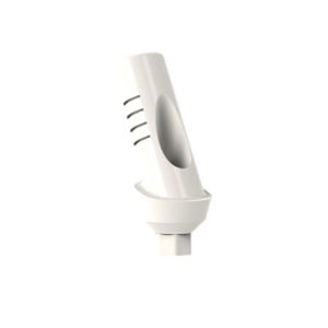 pilastro dentale per impianto in PEEK 1