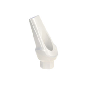 pilastro dentale per impianto in PEEK 1