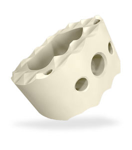 gabbia intersomatica cervicale 1