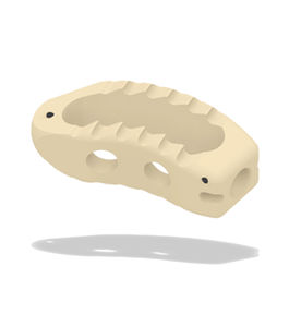 gabbia intersomatica lombare