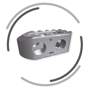 gabbia intersomatica lombare 1