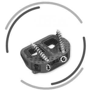 gabbia intersomatica lombare 1
