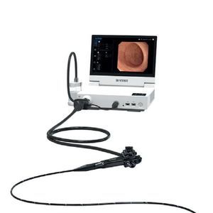 videogastroscopio ad alta definizione