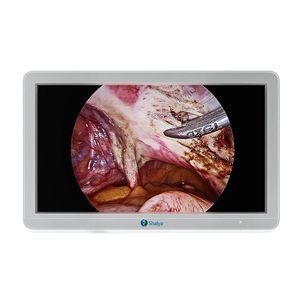 monitor chirurgico