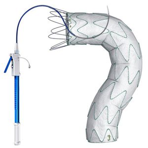 innesto stent aorta toracica / in poliestere
