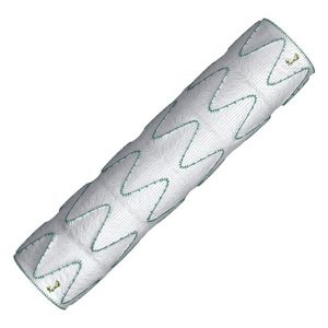 innesto stent aorta addominale