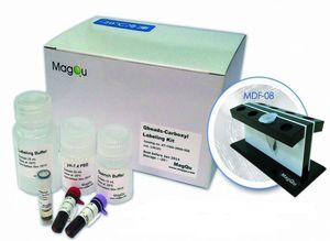 kit di reagenti a biglie magnetiche