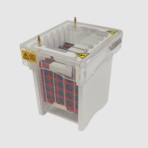 vaschetta di blotting per western blot