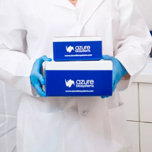 micropiastra da laboratorio 1