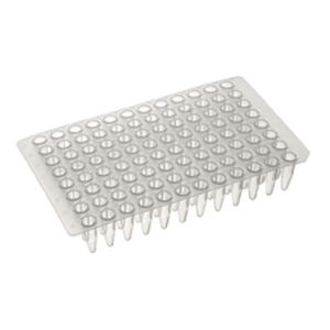 micropiastra per PCR 1