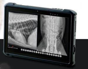 sistema di radiografia veterinaria digitale