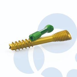 vite per compressione ossea per piccoli frammenti ossei