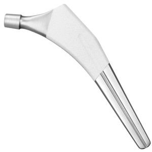 stelo femorale non cementato