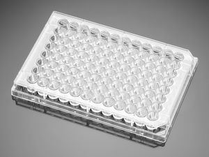 micropiastra per scienze della vita 1