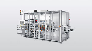 insacchetatrice in linea