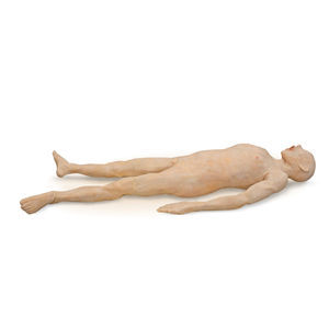 modello anatomico corpo 1
