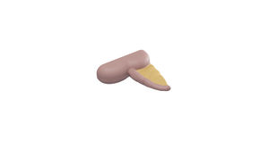modello anatomico di appendice