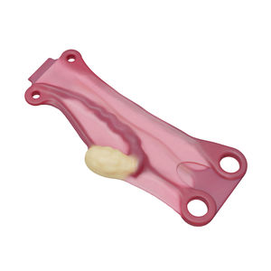 modello anatomico uterino