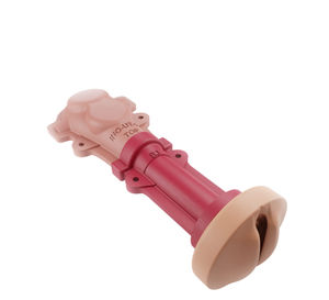 modello anatomico vaginale