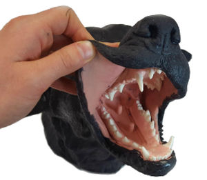 simulatore dentale / canino / testa
