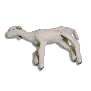 manichino didattico veterinario