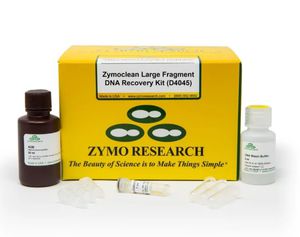 kit di reagenti gel di agarosio 1