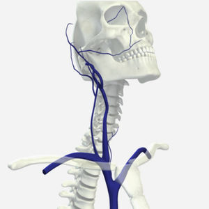 modulo di simulazione per radiografia