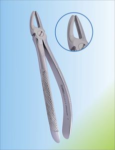 pinza per estrazione denti per premolari