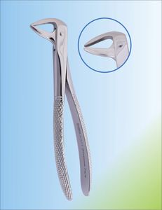 pinza per estrazione di radici dentali