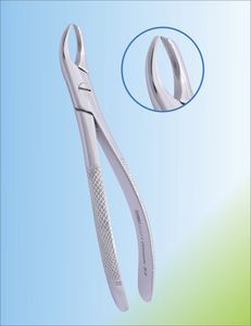 pinze per estrazione denti per molari superiori