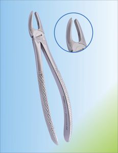 pinza per estrazione denti per molari superiori