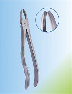 pinza per estrazione denti per canini