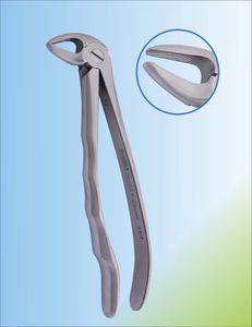 pinza per estrazione di radici dentali 1