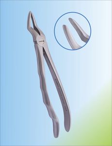 pinza per estrazione di radici dentali 1
