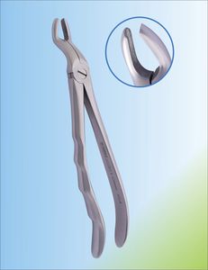 Strumenti Chirurgici Odontoiatria Set Pinze Per Estrazione Dentale – Per Molari Superiori E Inferiori, Acciaio Inox, Garanzia 3 Anni Attrezzature Veterinaria - Foto 3