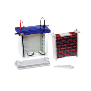 vaschetta di blotting