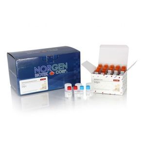 kit di reagenti enzima