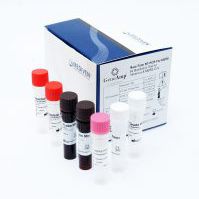 kit di test dell'influenza