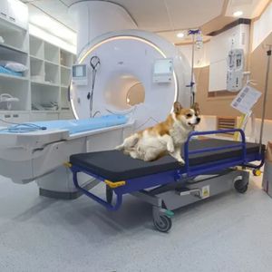 barella con carrello per MRI