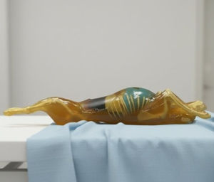 phantom per test veterinario per scanner a raggi X